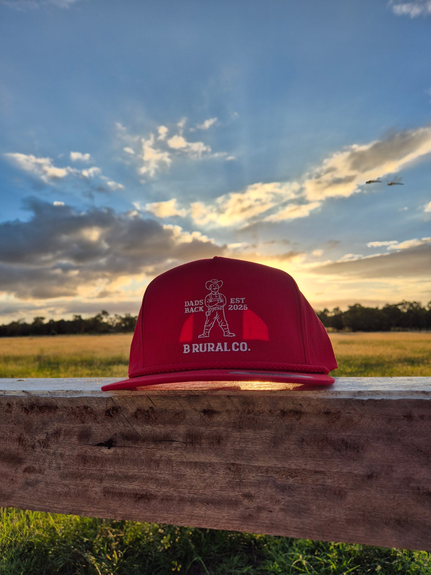Dad's Back Hat