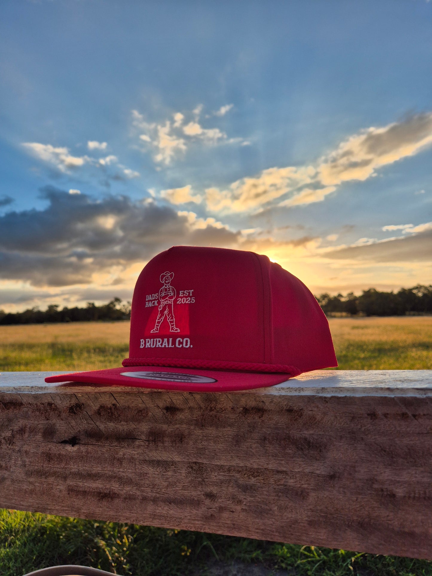 Dad's Back Hat