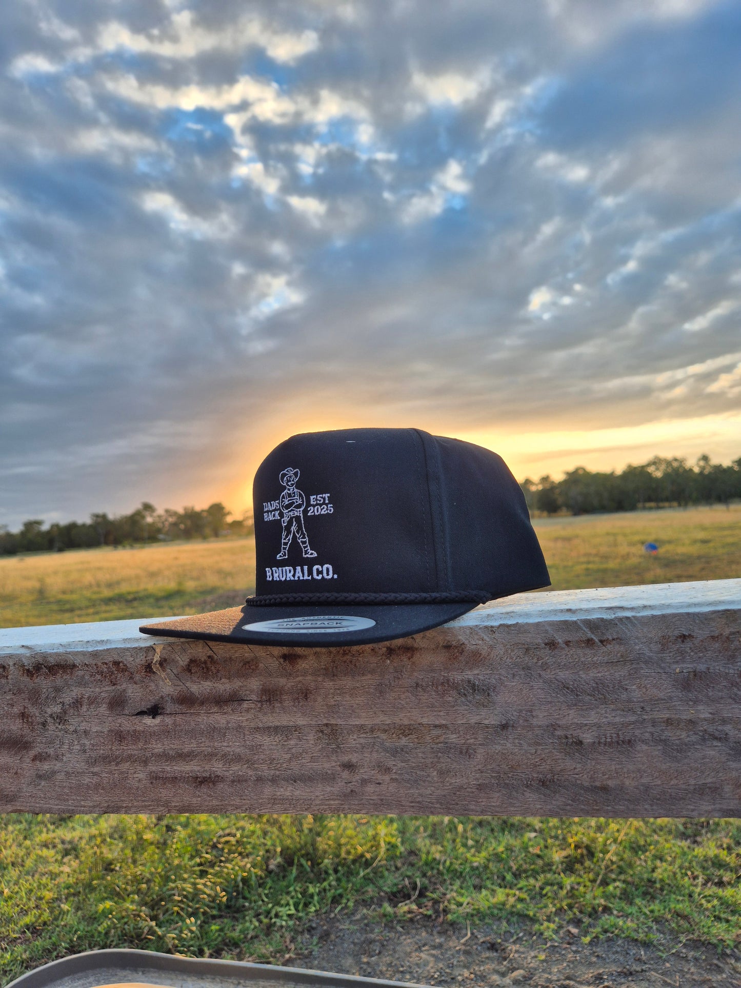 Dad's Back Hat