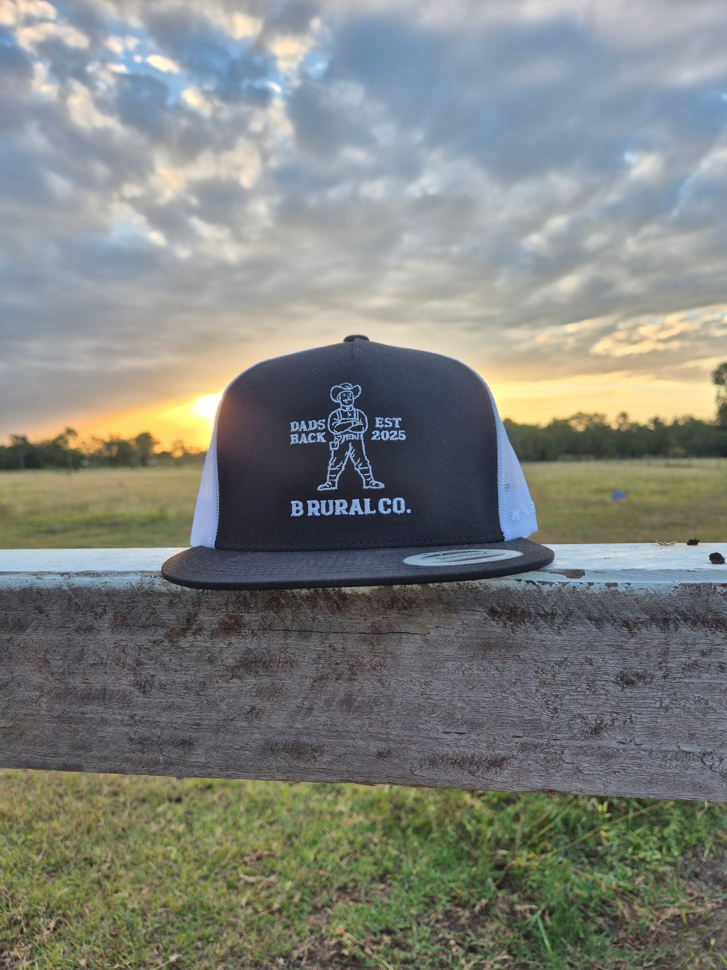 Dad's Back Hat