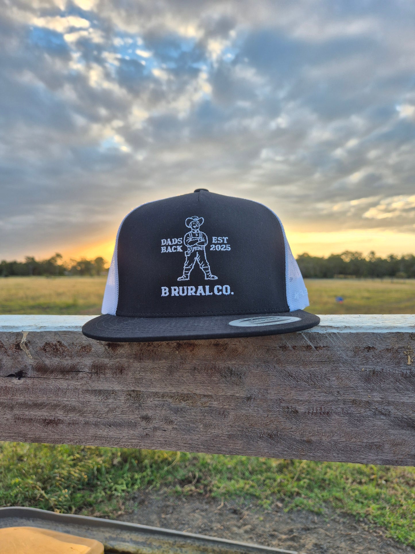 Dad's Back Hat