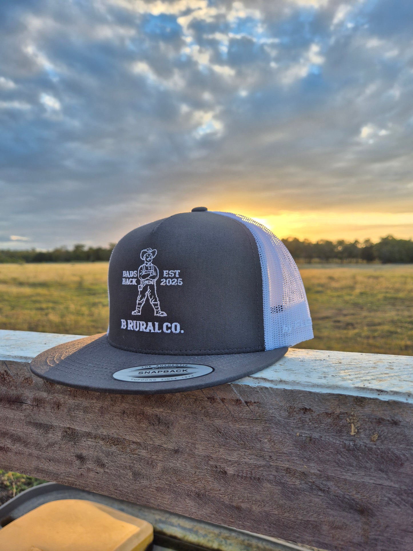 Dad's Back Hat