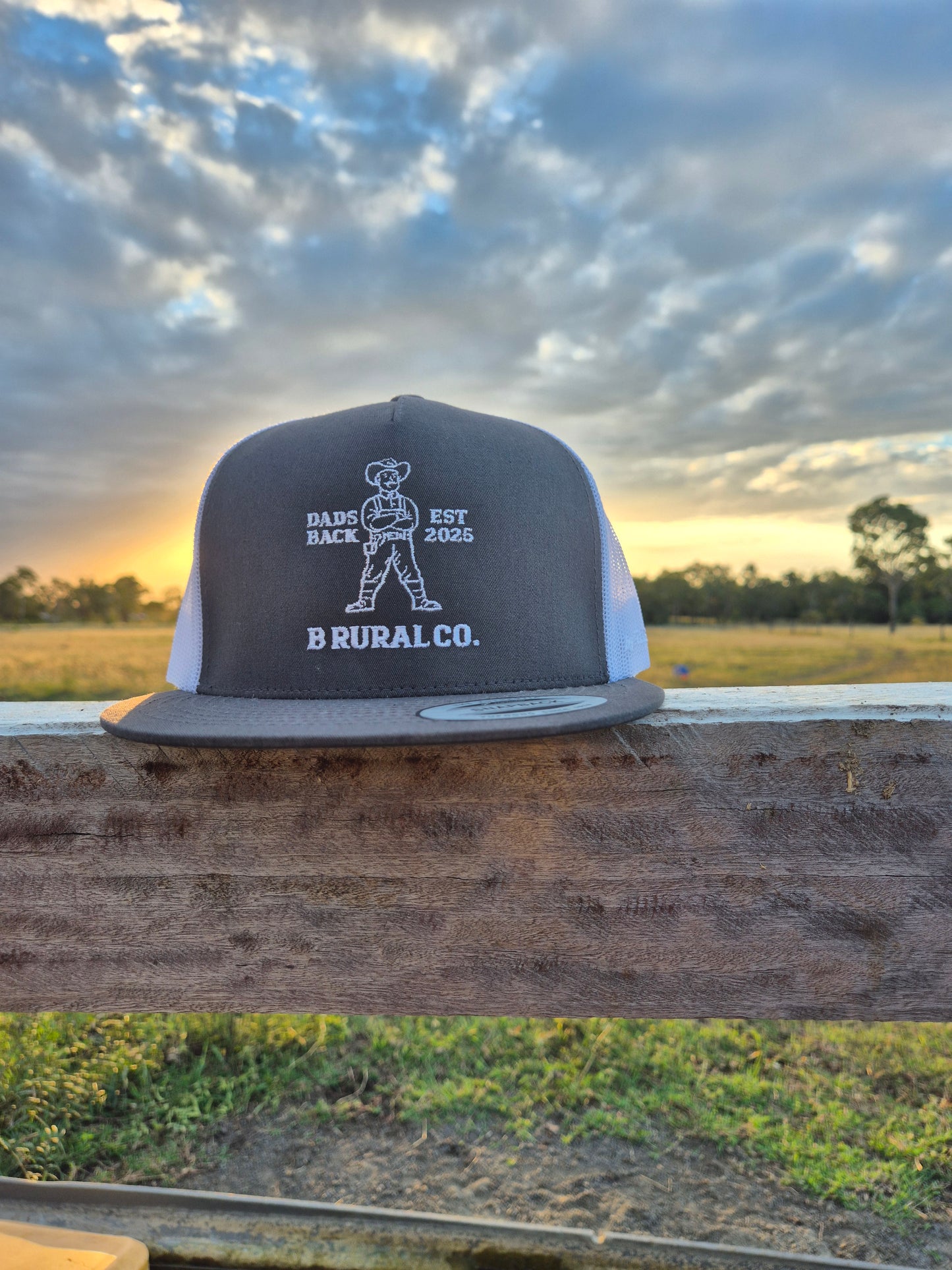 Dad's Back Hat