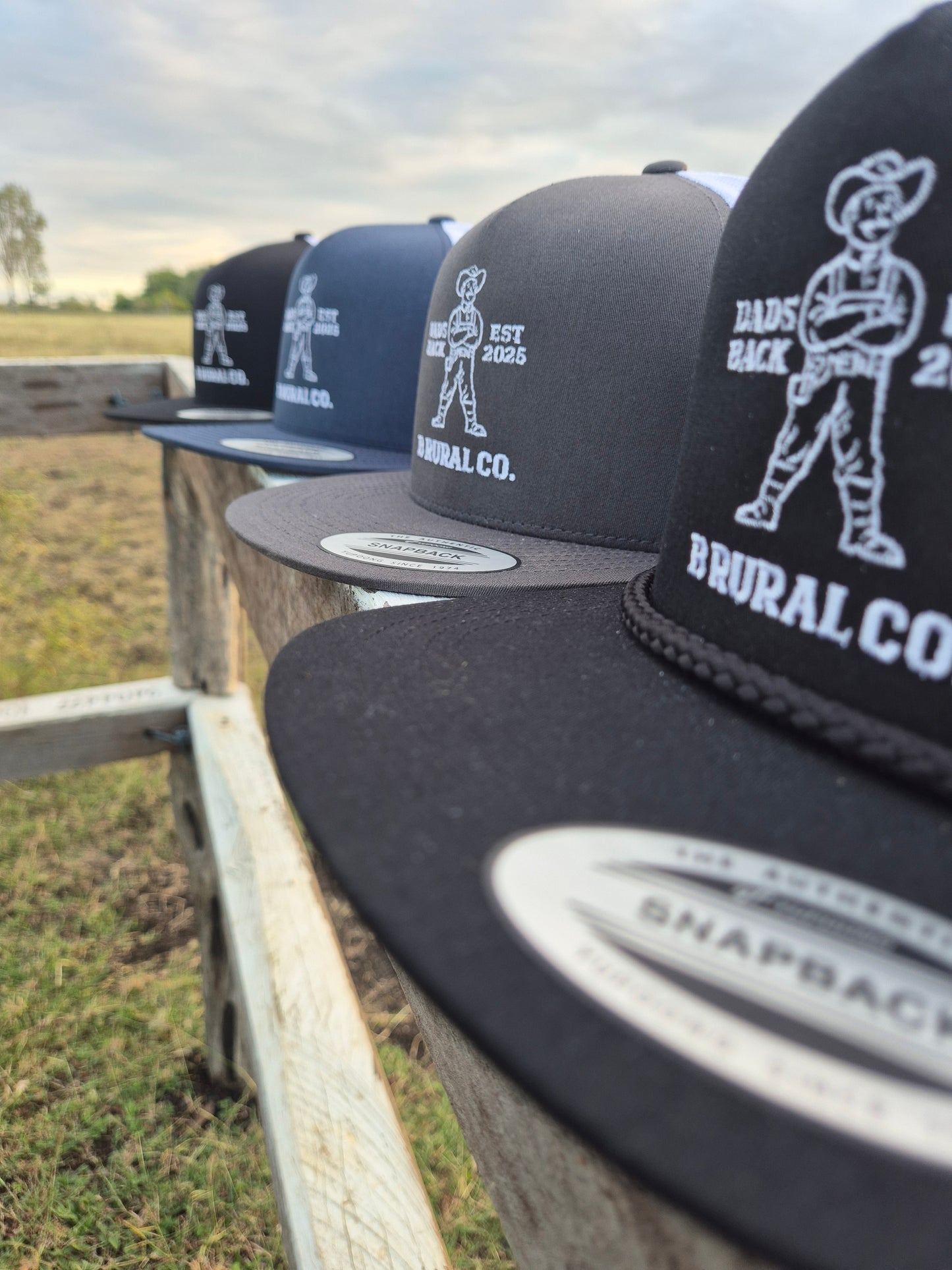 Dad's Back Hat