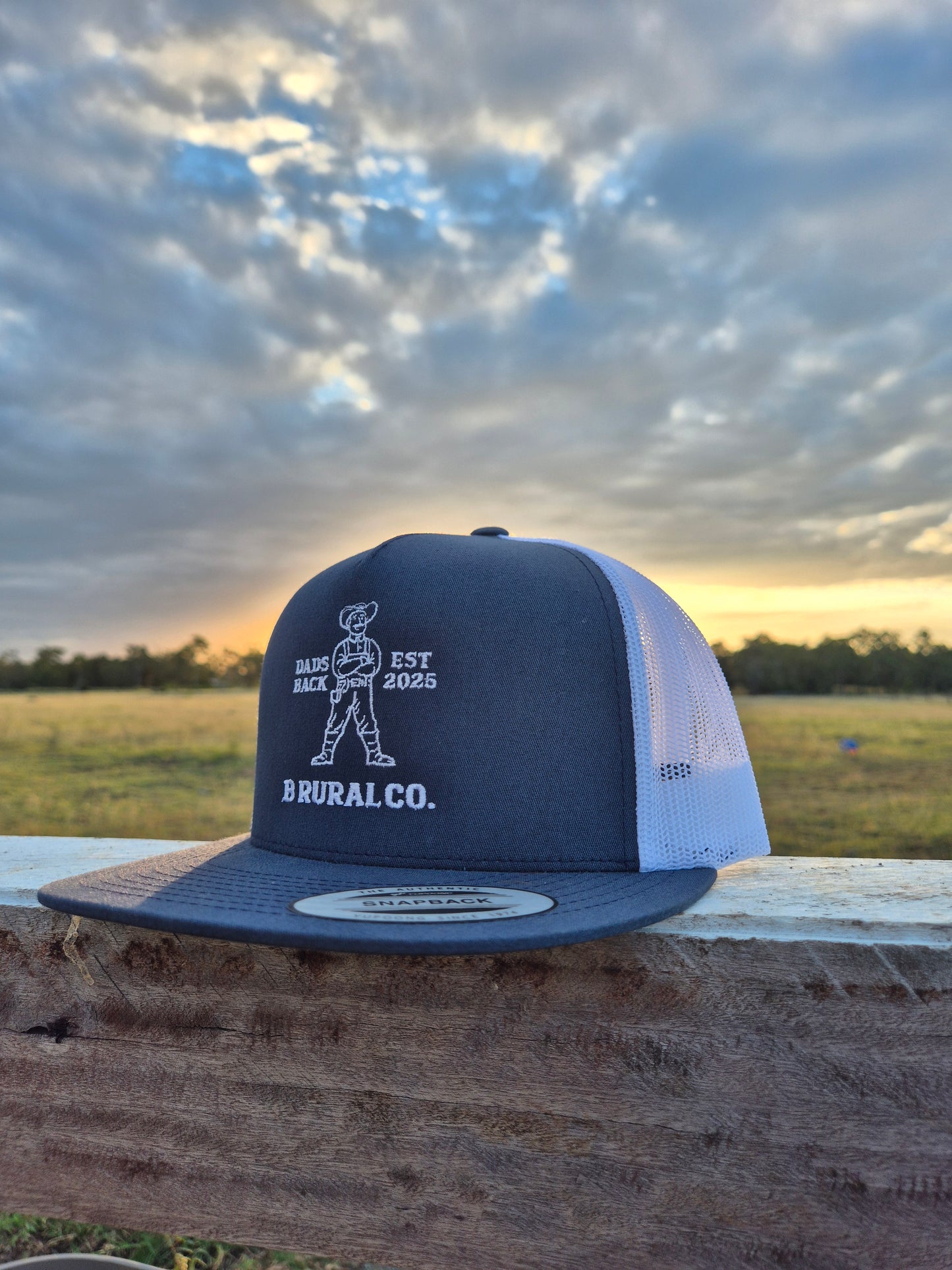 Dad's Back Hat