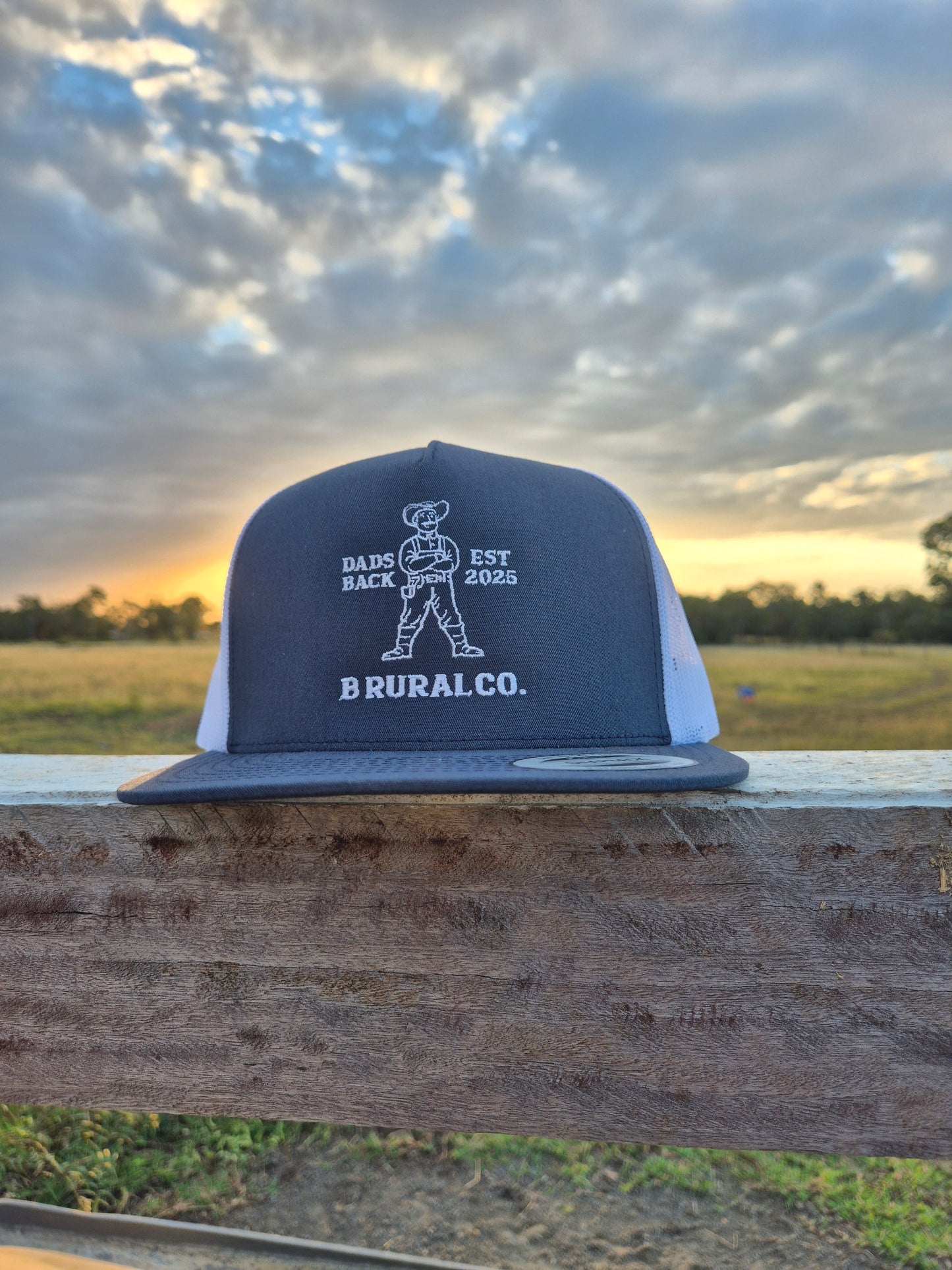 Dad's Back Hat