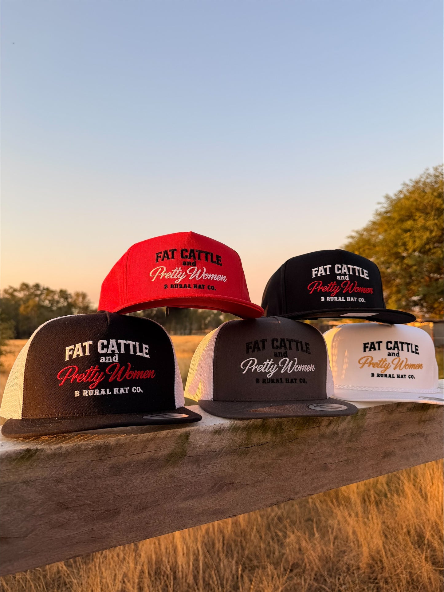 Fat Cattle and Pretty Women